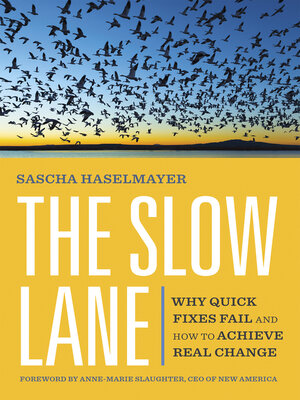 cover image of The Slow Lane